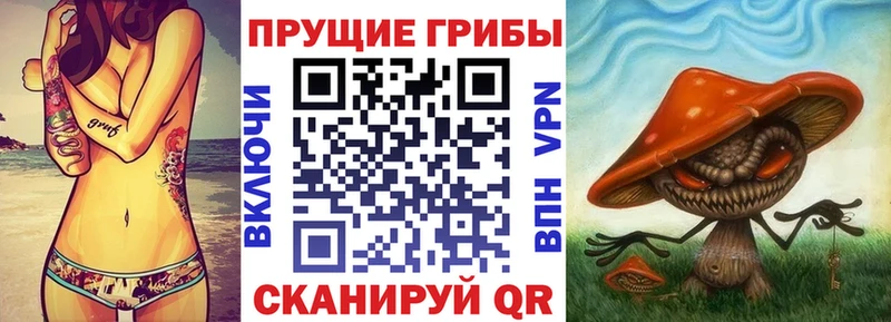Купить закладки  Чулым  Галлюциногенные грибы мухоморы 